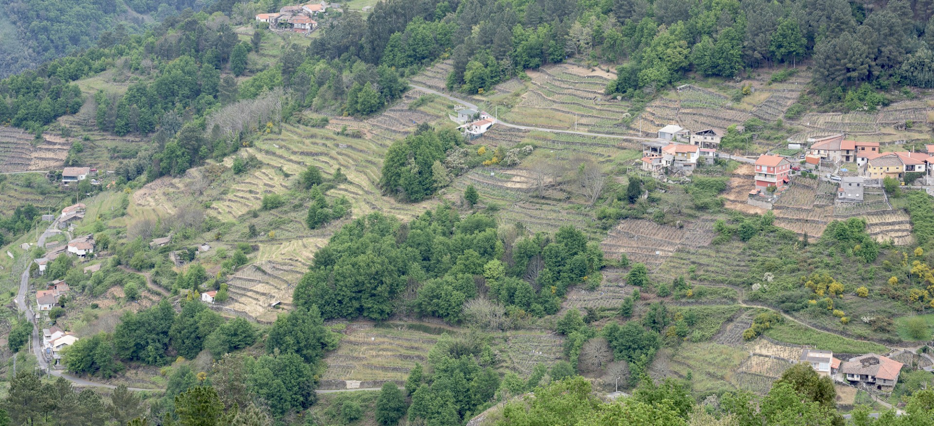 Empresa de Desarrollo Rural en Viñoás